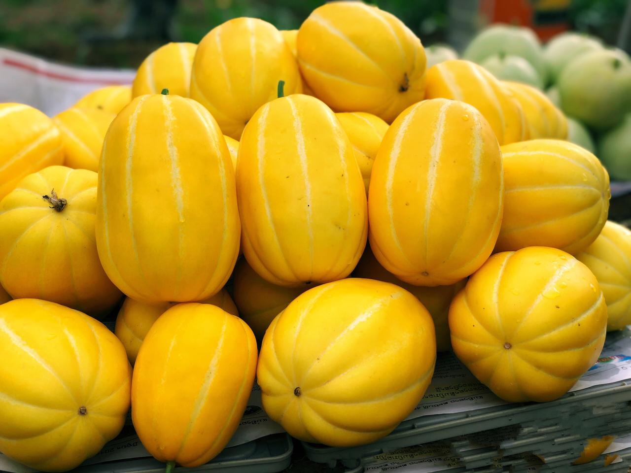 Korean Melon